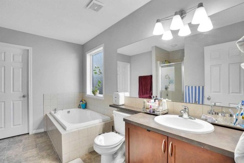 73 Covebrook Place Ne, Calgary, AB - Indoor Photo Showing Bathroom