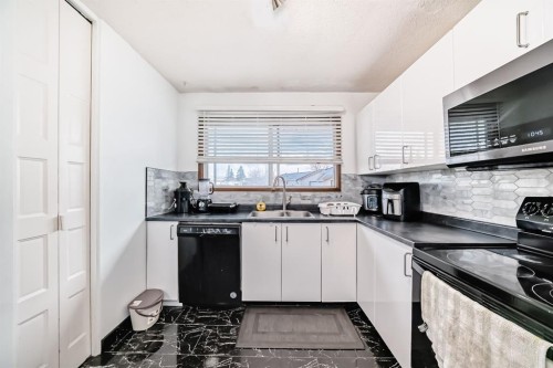 19 Malvern Place Ne, Calgary, AB - Indoor Photo Showing Kitchen With Double Sink