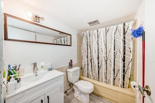 19 Malvern Place Ne, Calgary, AB - Indoor Photo Showing Bathroom