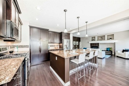 77 Chaparral Valley Grove Se, Calgary, AB - Indoor Photo Showing Kitchen With Stainless Steel Kitchen With Upgraded Kitchen