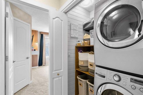 17 Cranford Place Se, Calgary, AB - Indoor Photo Showing Laundry Room