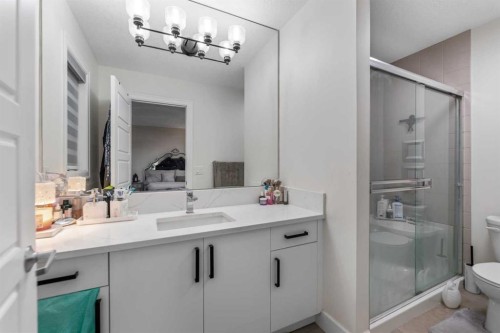 10532 Cityscape Drive Ne, Calgary, AB - Indoor Photo Showing Bathroom