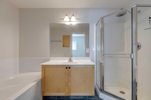 304-1606 4 Street Nw, Calgary, AB - Indoor Photo Showing Bathroom