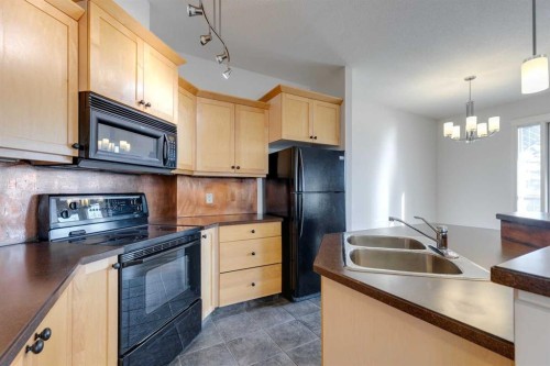 304-1606 4 Street Nw, Calgary, AB - Indoor Photo Showing Kitchen With Double Sink