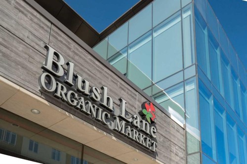 2213 31 Avenue Sw, Calgary, AB - Outdoor