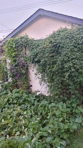 623 75 Avenue Sw, Calgary, AB 