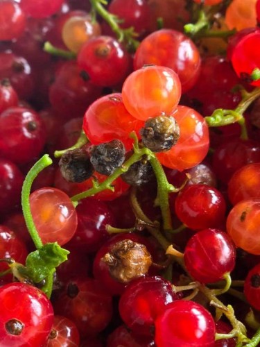 623 75 Avenue Sw, Calgary, AB 