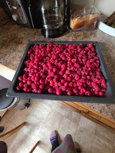 623 75 Avenue Sw, Calgary, AB 