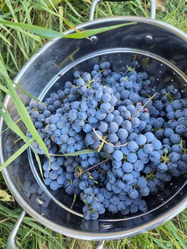 623 75 Avenue Sw, Calgary, AB 