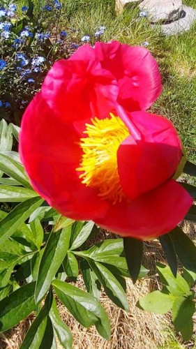 623 75 Avenue Sw, Calgary, AB 