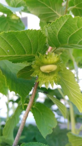 623 75 Avenue Sw, Calgary, AB 