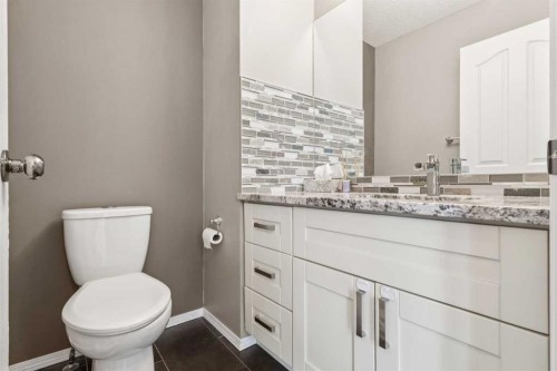132 Citadel Meadow Bay Nw, Calgary, AB - Indoor Photo Showing Bathroom