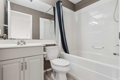 132 Citadel Meadow Bay Nw, Calgary, AB - Indoor Photo Showing Bathroom