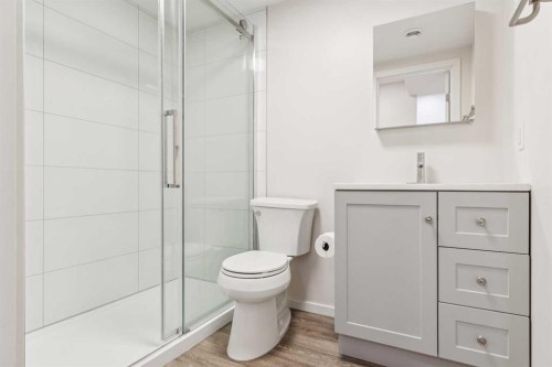 132 Citadel Meadow Bay Nw, Calgary, AB - Indoor Photo Showing Bathroom
