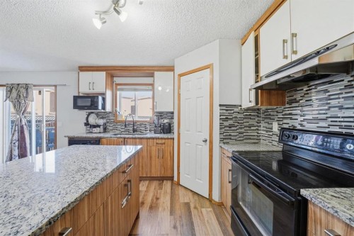 218 Tarawood Place Ne, Calgary, AB - Indoor Photo Showing Kitchen With Upgraded Kitchen