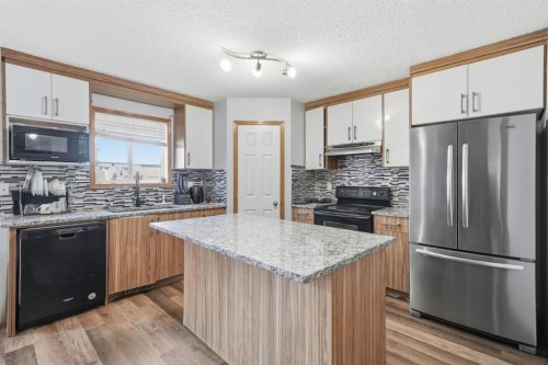 218 Tarawood Place Ne, Calgary, AB - Indoor Photo Showing Kitchen With Upgraded Kitchen