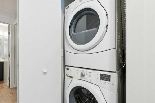 202-880 Centre Avenue Ne, Calgary, AB - Indoor Photo Showing Laundry Room