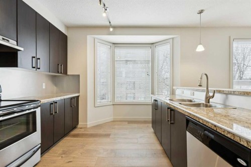 202-880 Centre Avenue Ne, Calgary, AB - Indoor Photo Showing Kitchen With Double Sink