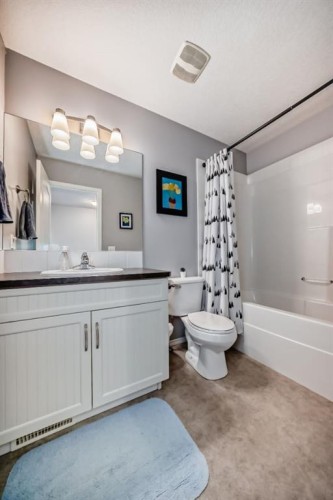 936 Copperfield Boulevard Se, Calgary, AB - Indoor Photo Showing Bathroom