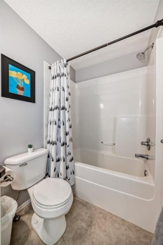 936 Copperfield Boulevard Se, Calgary, AB - Indoor Photo Showing Bathroom