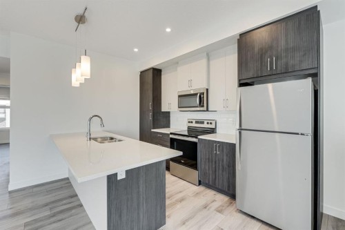 91 Spring Creek Common Sw, Calgary, AB - Indoor Photo Showing Kitchen With Double Sink
