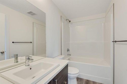 91 Spring Creek Common Sw, Calgary, AB - Indoor Photo Showing Bathroom