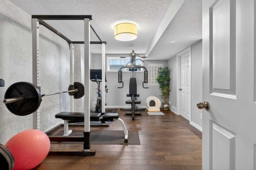 317 Legacy Boulevard Se, Calgary, AB - Indoor Photo Showing Gym Room