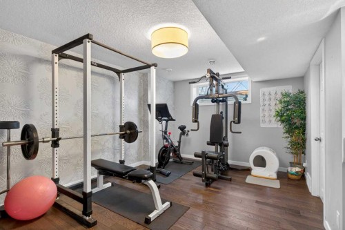 317 Legacy Boulevard Se, Calgary, AB - Indoor Photo Showing Gym Room