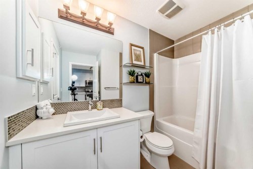 409-25 Auburn Meadows Avenue Se, Calgary, AB - Indoor Photo Showing Bathroom
