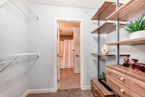 409-25 Auburn Meadows Avenue Se, Calgary, AB - Indoor With Storage