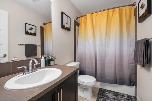 75 Williamstown Landing Nw, Airdrie, AB - Indoor Photo Showing Bathroom