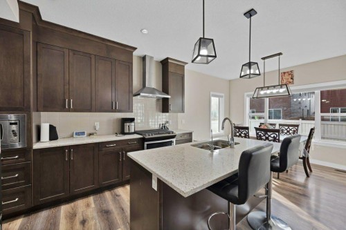 93 Saddlestone Place Ne, Calgary, AB - Indoor Photo Showing Kitchen With Double Sink
