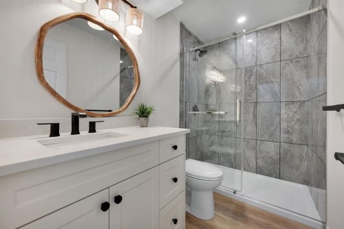 308 Doverview Crescent Se, Calgary, AB - Indoor Photo Showing Bathroom