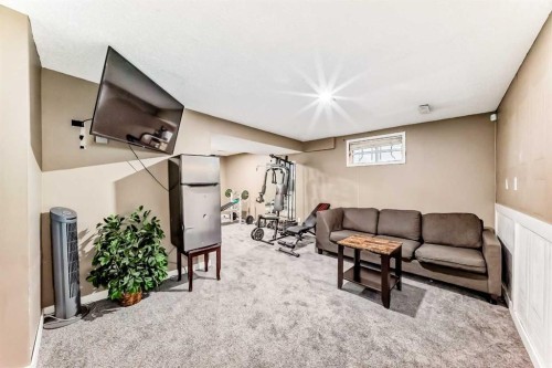 707 Malvern Drive Ne, Calgary, AB - Indoor Photo Showing Basement