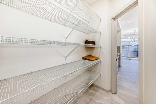 31 Lucas Passage Nw, Calgary, AB - Indoor With Storage