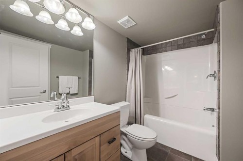 5619 Coach Hill Road Sw, Calgary, AB - Indoor Photo Showing Bathroom
