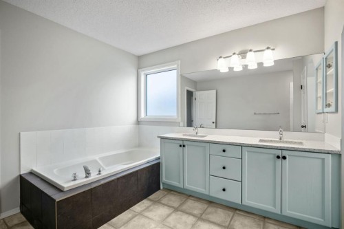 104 Cove Crescent, Chestermere, AB - Indoor Photo Showing Bathroom