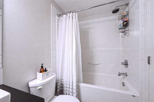 4408-155 Skyview Ranch Way Ne, Calgary, AB - Indoor Photo Showing Bathroom