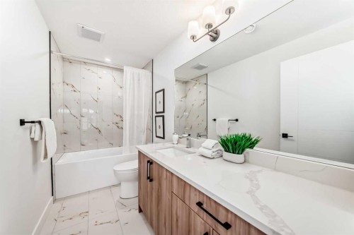 8530 Bowness Road Nw, Calgary, AB - Indoor Photo Showing Bathroom