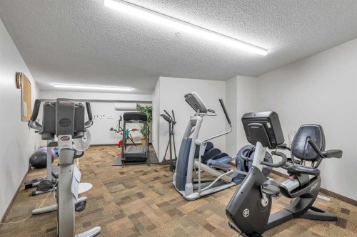3340-6818 Pinecliff Grove Ne, Calgary, AB - Indoor Photo Showing Gym Room