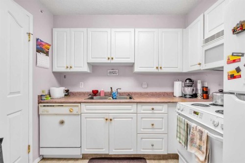 3340-6818 Pinecliff Grove Ne, Calgary, AB - Indoor Photo Showing Kitchen With Double Sink