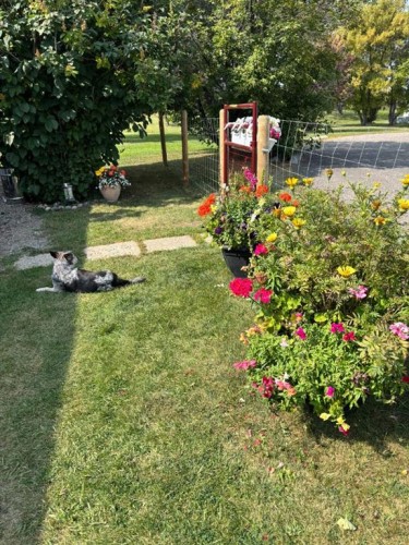 443 Homestead Trail Se, High River, AB 