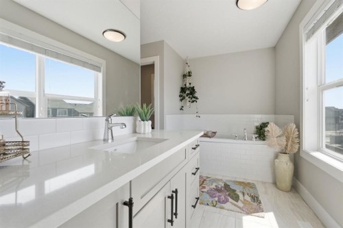 19 Masters Green Se, Calgary, AB - Indoor Photo Showing Bathroom