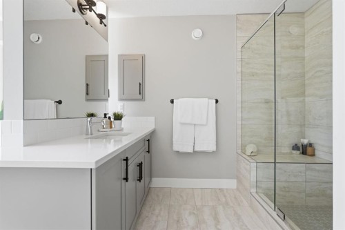 19 Masters Green Se, Calgary, AB - Indoor Photo Showing Bathroom