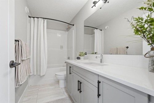 19 Masters Green Se, Calgary, AB - Indoor Photo Showing Bathroom