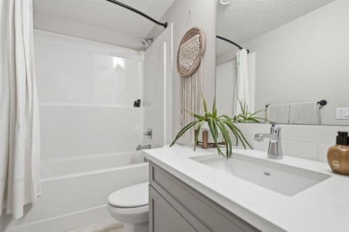 19 Masters Green Se, Calgary, AB - Indoor Photo Showing Bathroom