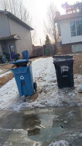 649 Pineland Road Ne, Calgary, AB - Outdoor