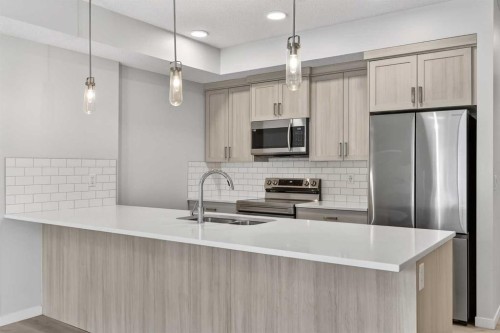 1106-33 Carringham Gate Nw, Calgary, AB - Indoor Photo Showing Kitchen With Double Sink With Upgraded Kitchen