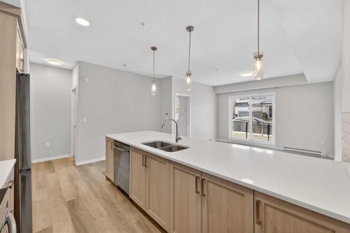 1106-33 Carringham Gate Nw, Calgary, AB - Indoor Photo Showing Kitchen With Double Sink With Upgraded Kitchen