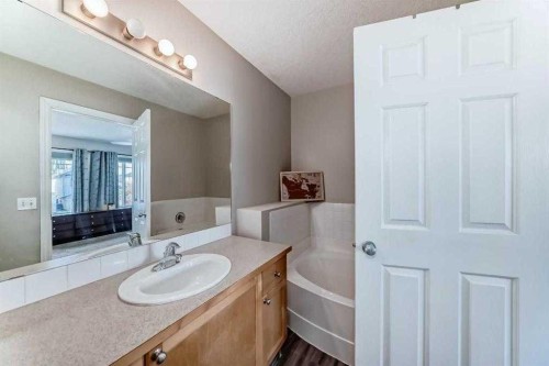 26 Copperfield View Se, Calgary, AB - Indoor Photo Showing Bathroom